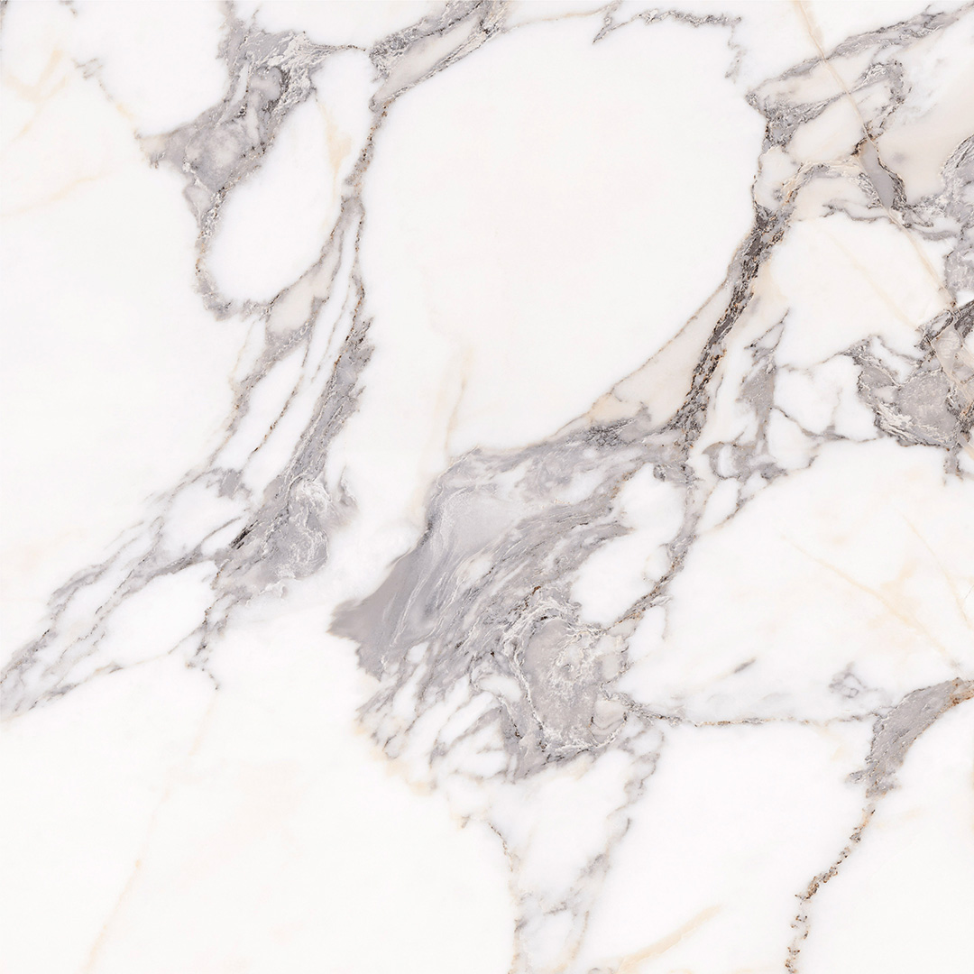 Verona White Verona White