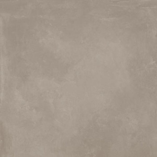 Azonal Grey